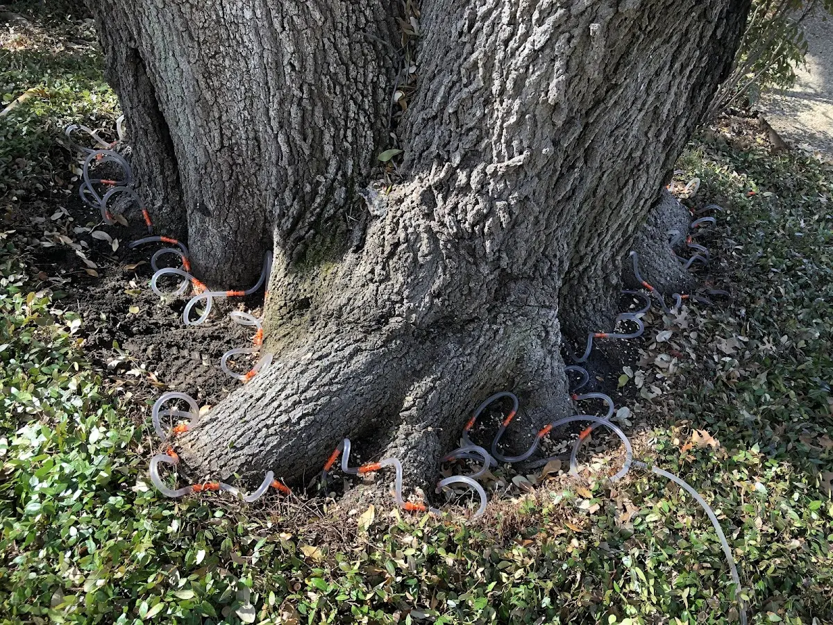 Detailed Shrub and Hedge Trimming job site in Ellinger